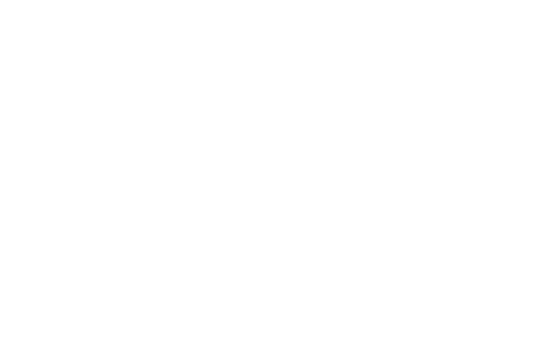 WISEQNA Logo